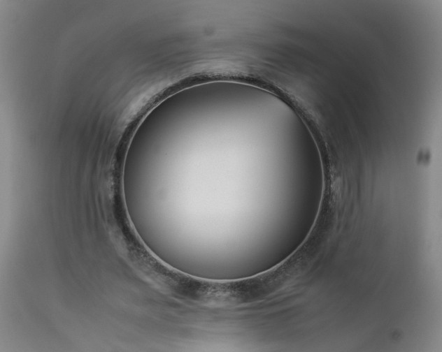 X0000112870487200908211430