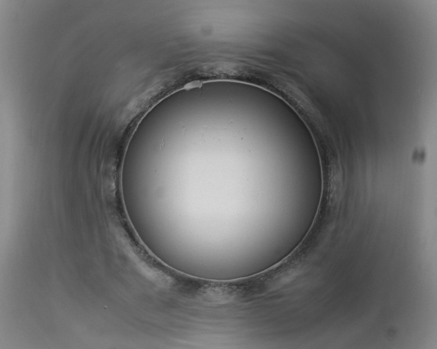 X0000112870489200908211430