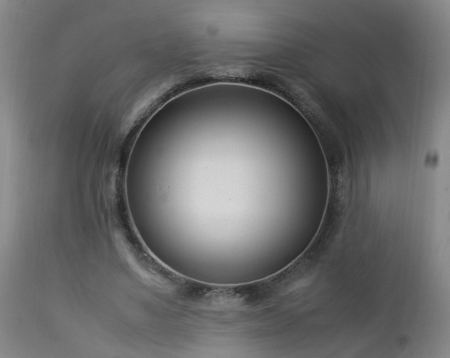 X0000112870491200908211430