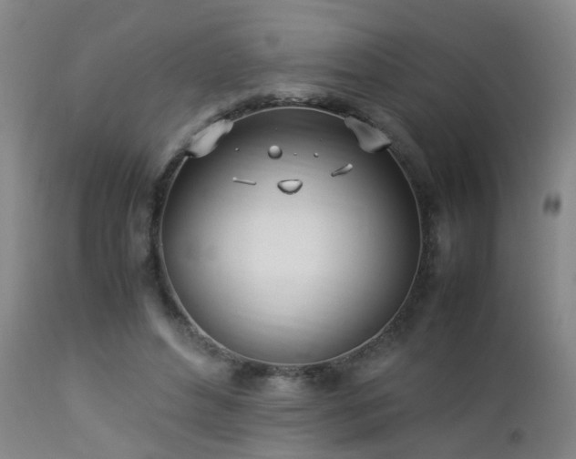 X0000112870496200908211429
