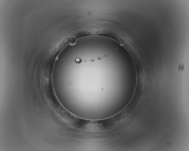 X0000112870499200908211429