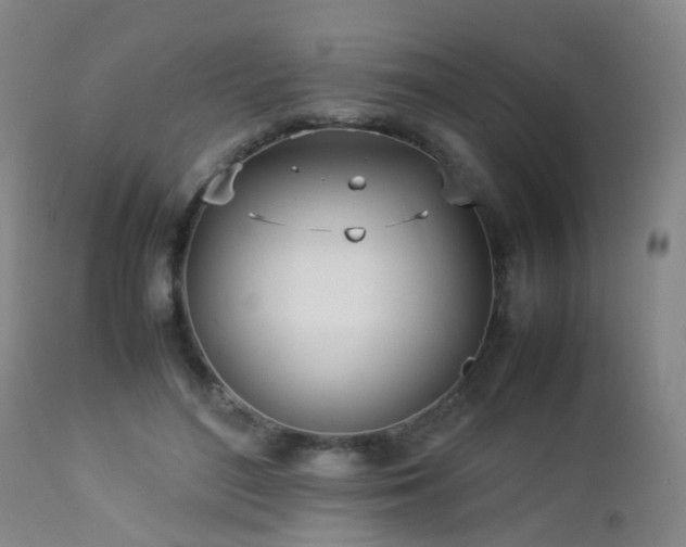 X0000112870500200908211429