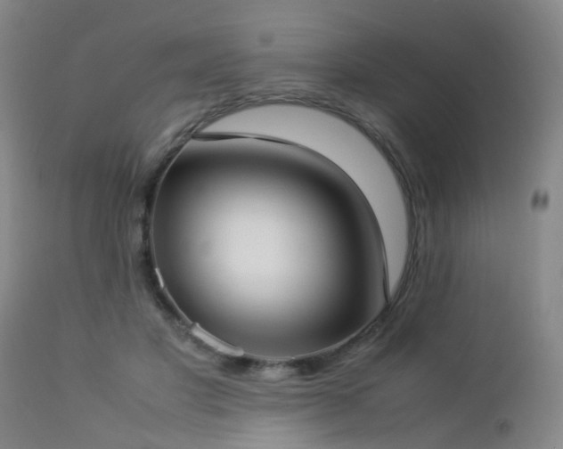 X0000112870501200908211429