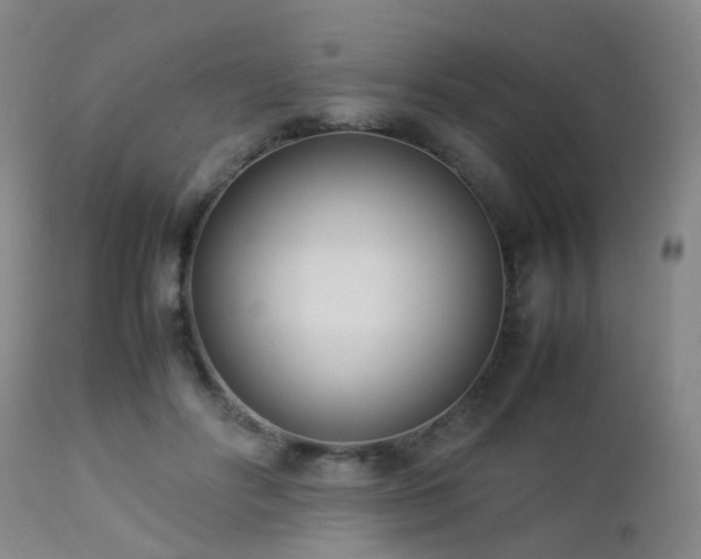 X0000112870502200908211429