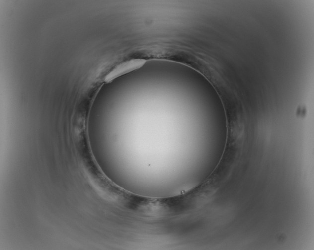 X0000112870503200908211429
