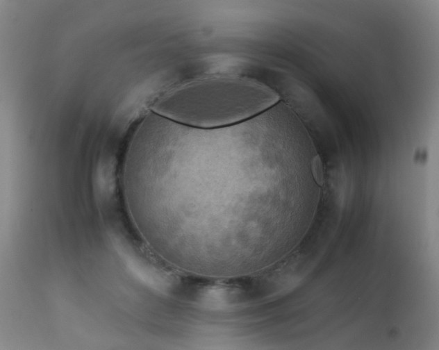 X0000112870504200908211429