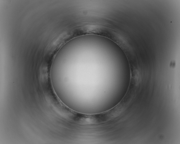 X0000112870506200908211429
