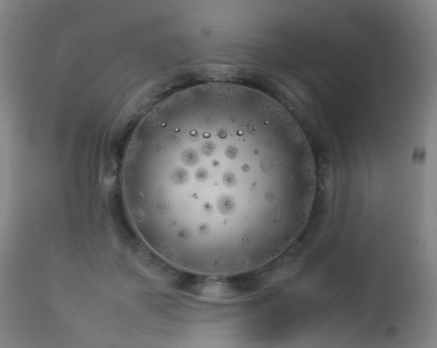 X0000112870507200908211429