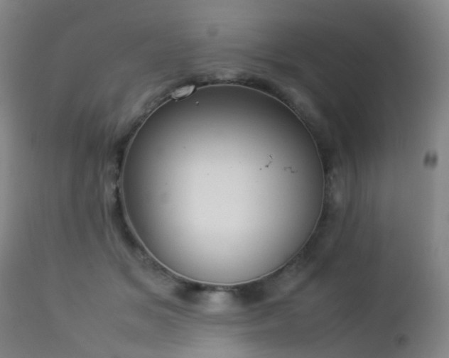 X0000112870509200908211429