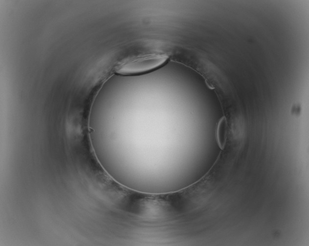 X0000112870512200908211429