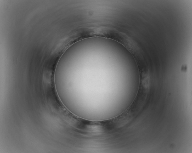 X0000112870514200908211429