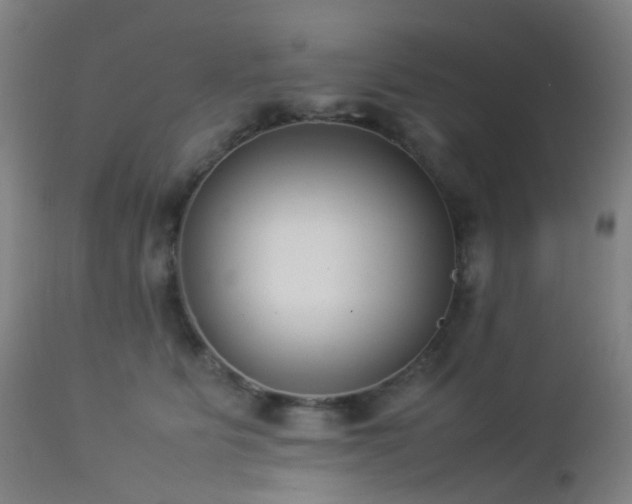 X0000112870515200908211429