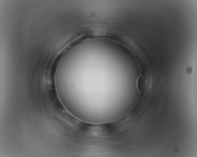 X0000112870516200908211429