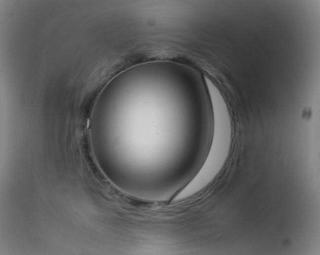 X0000112870517200908211429
