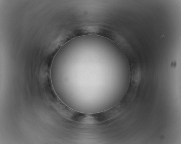 X0000112870518200908211429