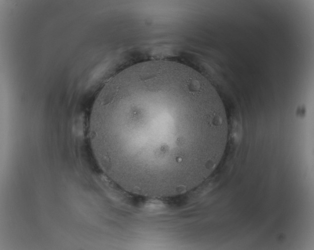X0000112870519200908211429