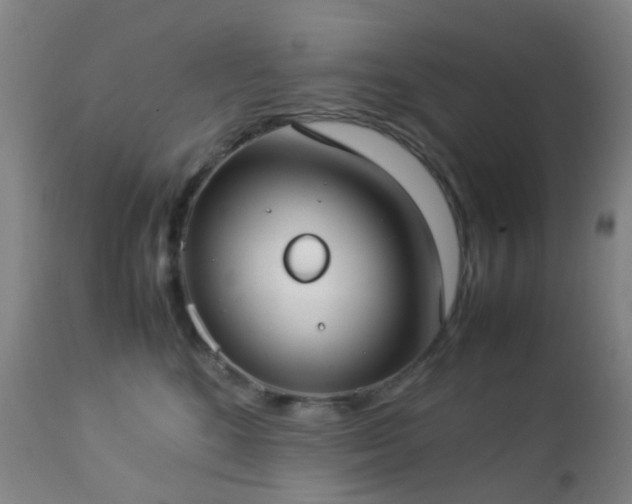 X0000112870520200908211429