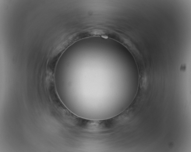X0000112870521200908211429