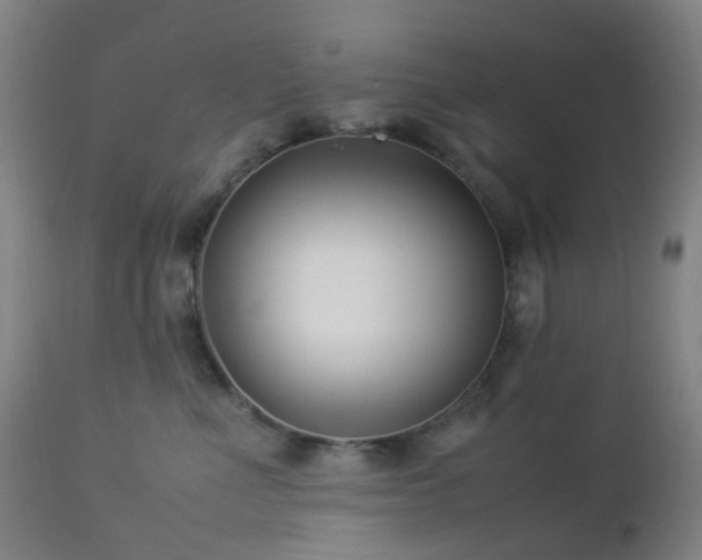 X0000112870523200908211429