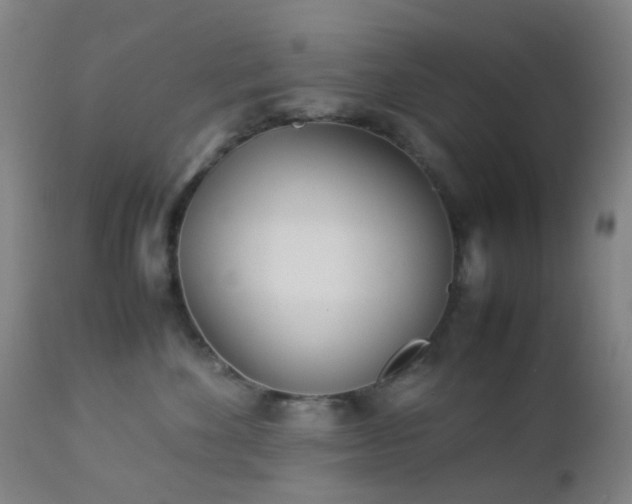 X0000112870524200908211429