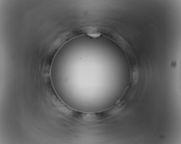 X0000112870525200908211429