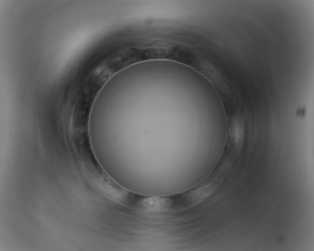 X0000112870526200908211429