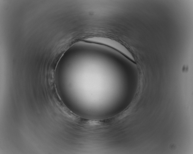 X0000112870528200908211429