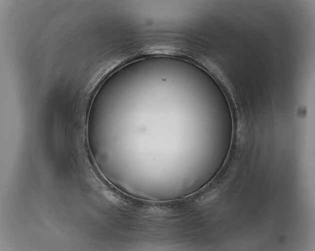 X0000112870529200908211428