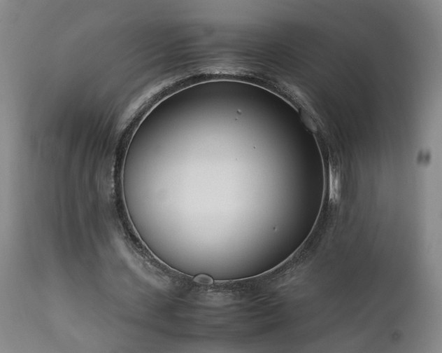 X0000112870531200908211428