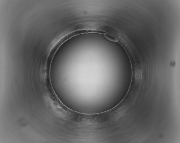 X0000112870532200908211428
