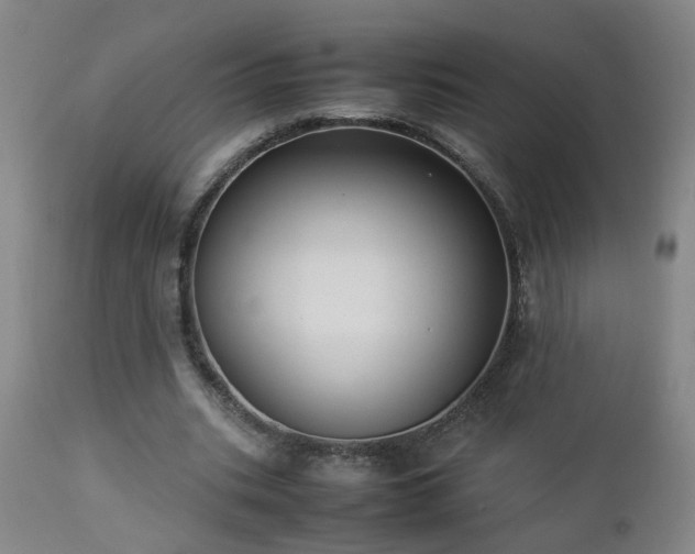 X0000112870535200908211428