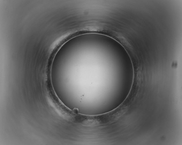 X0000112870536200908211428