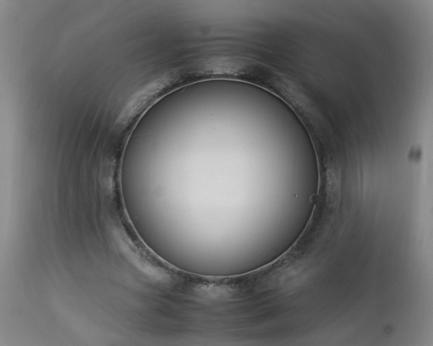 X0000112870537200908211428