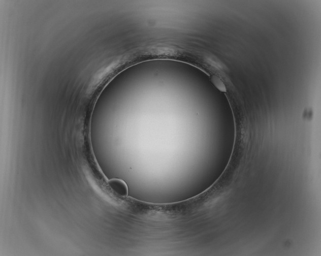 X0000112870538200908211428