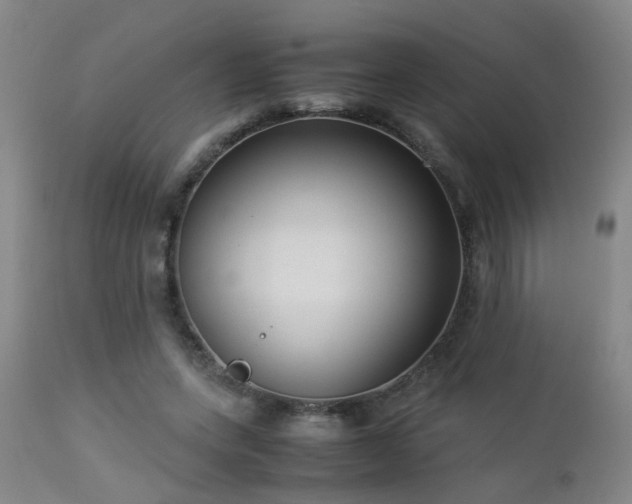 X0000112870543200908211428
