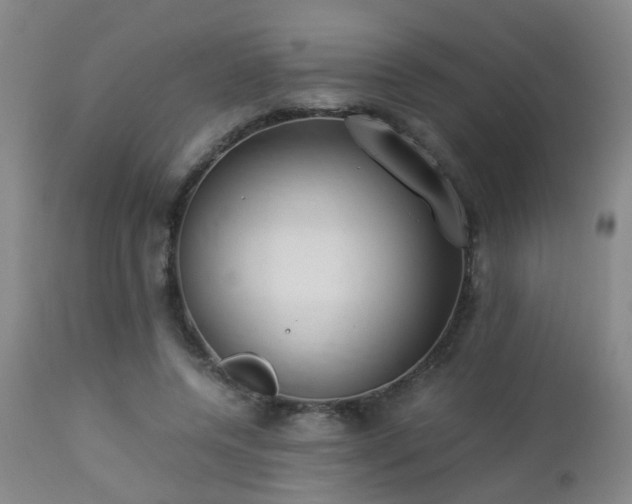 X0000112870544200908211428
