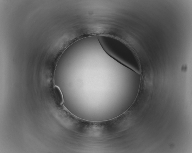 X0000112870546200908211428