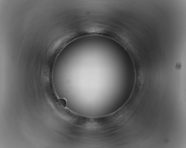 X0000112870547200908211428