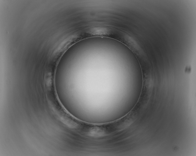 X0000112870549200908211428