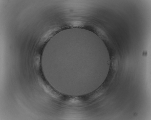 X0000112870550200908211428