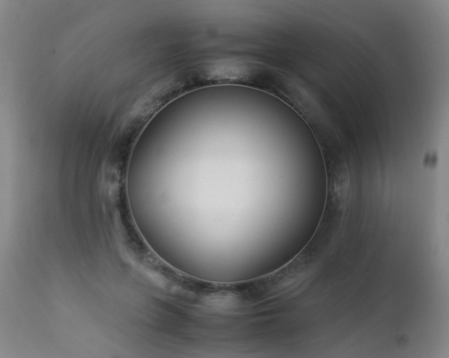 X0000112870551200908211428