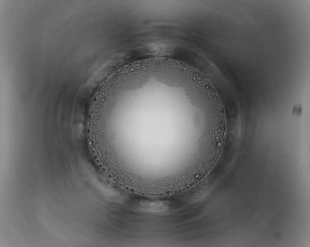 X0000112870553200908211428