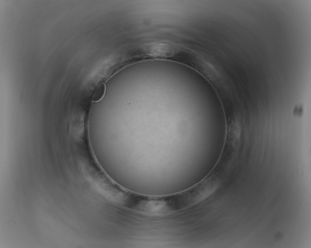 X0000112870554200908211429