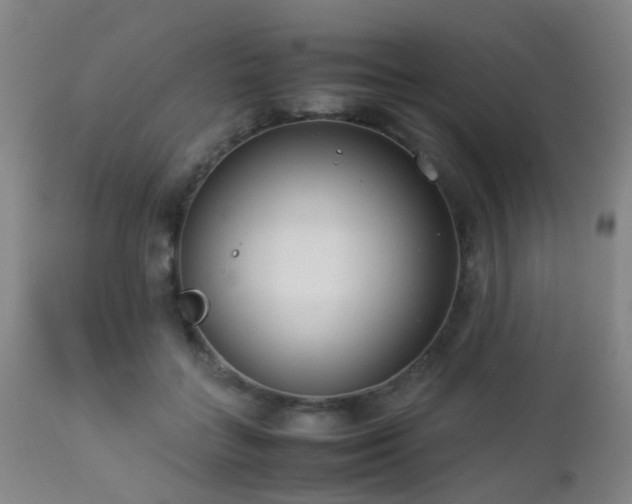 X0000112870555200908211429