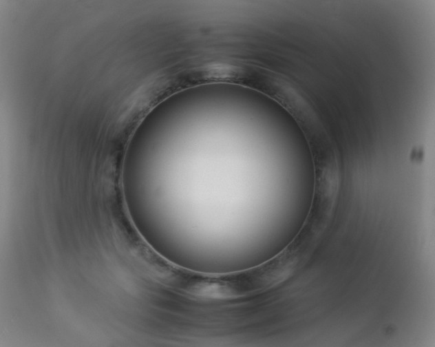 X0000112870557200908211429