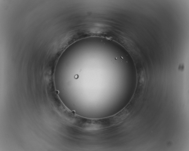 X0000112870559200908211429