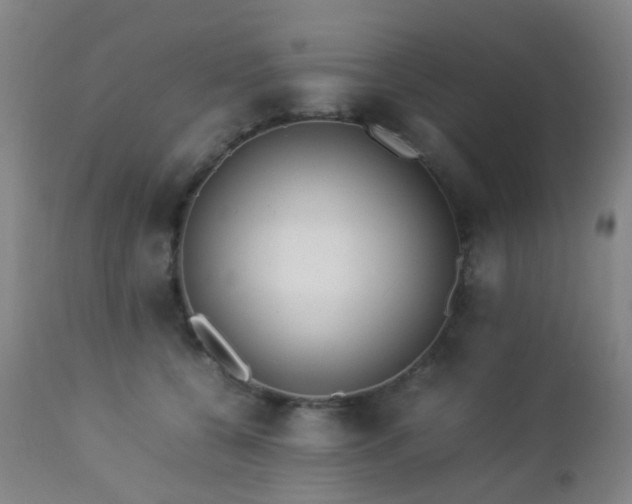 X0000112870560200908211429
