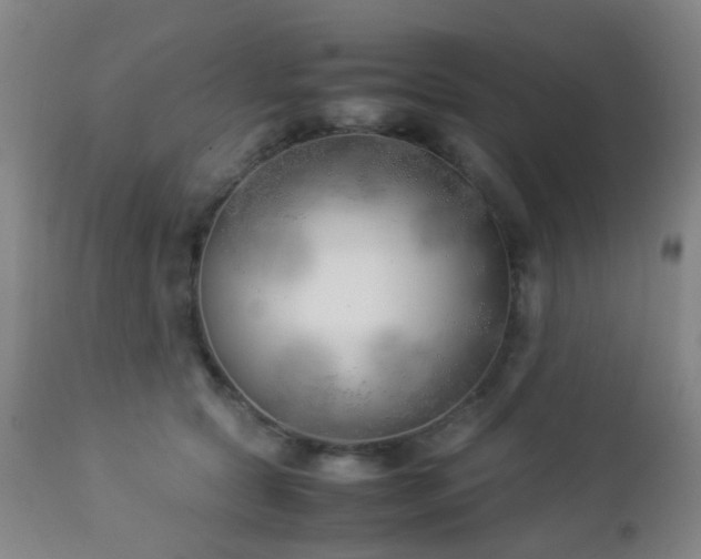X0000112870561200908211429