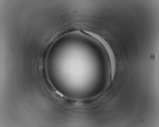 X0000112870562200908211429