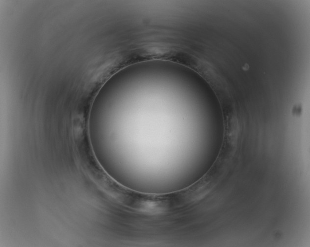 X0000112870563200908211429